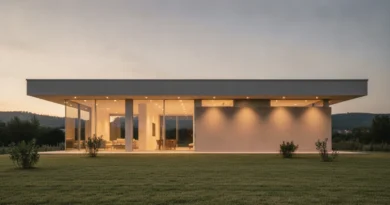 Pojištění nemovitosti Direct: rizika, podpojištění a podmínky