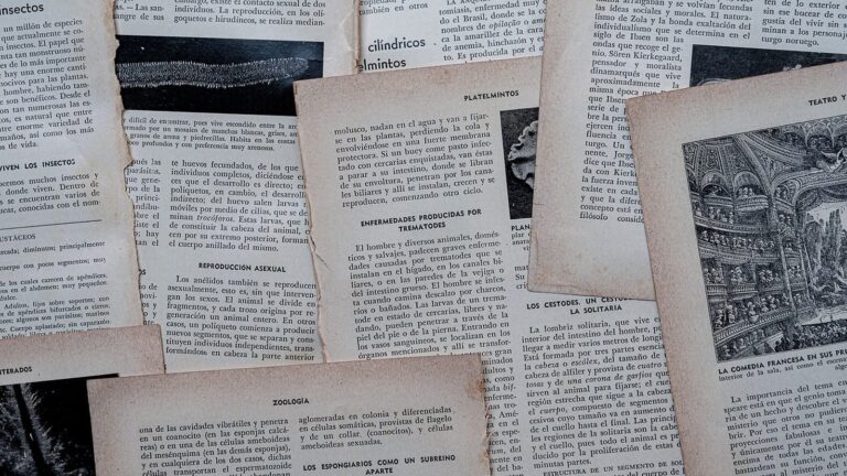 Dluhopisomat: jak číst nabídku a kdo odpovídá za splacení