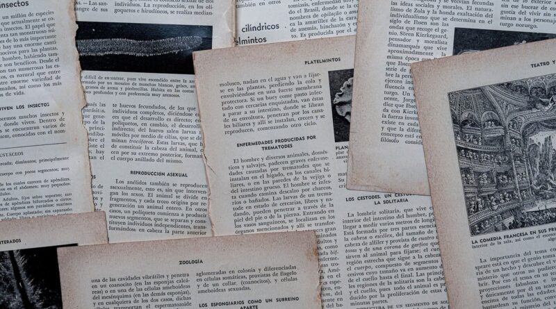 Dluhopisomat: jak číst nabídku a kdo odpovídá za splacení
